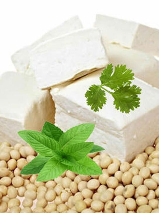 Soya Paneer Business Plan